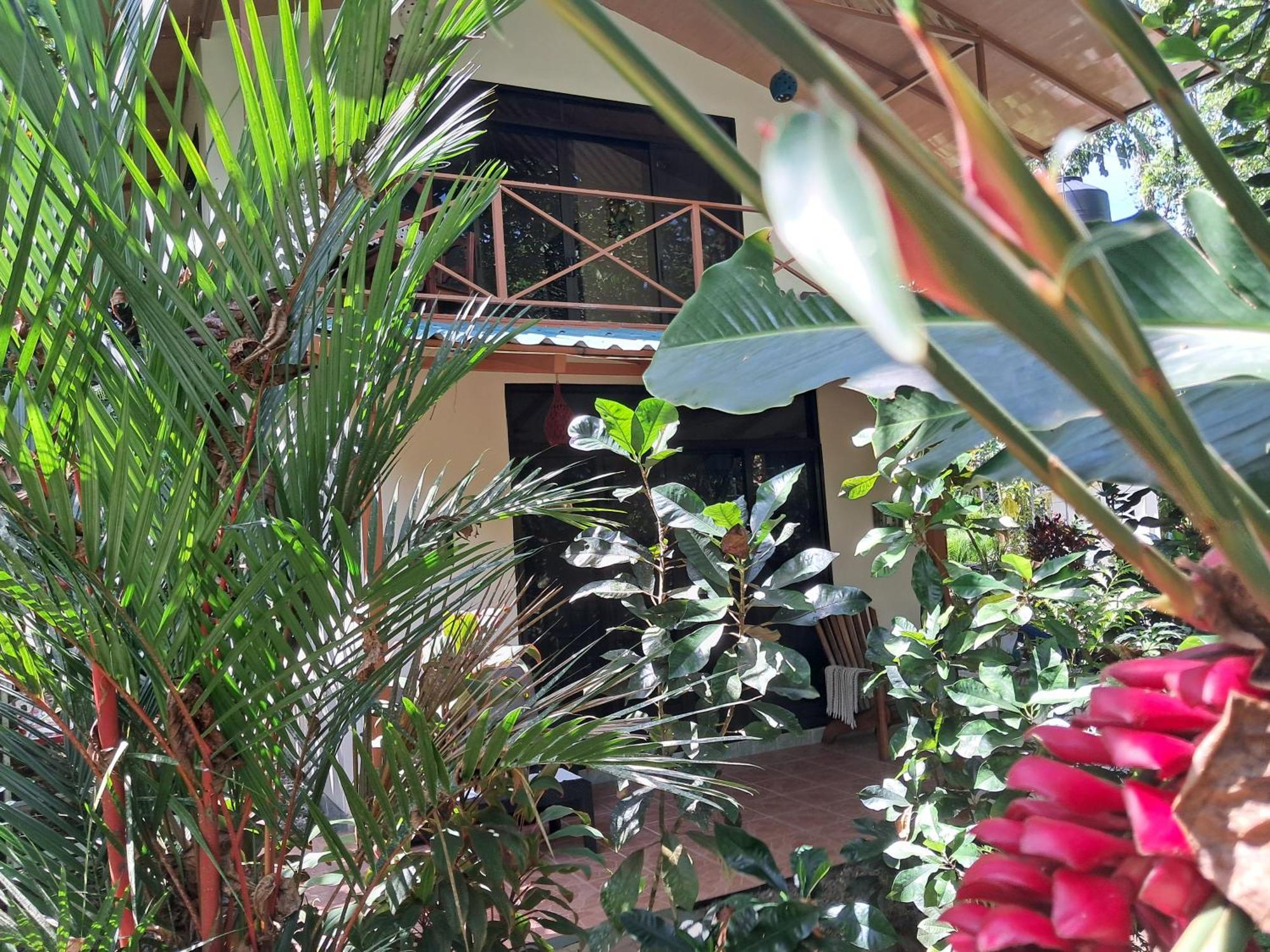 Willa New Caribe Point Cahuita Zewnętrze zdjęcie
